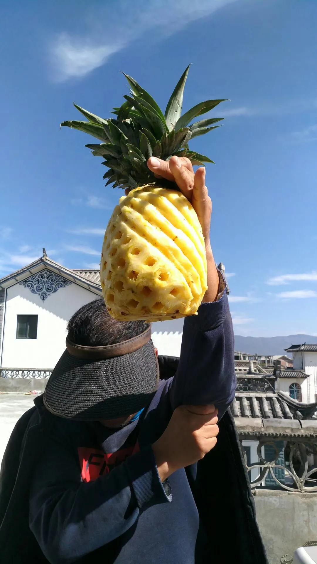 一家三口在大理租房,一家三口的田园生活