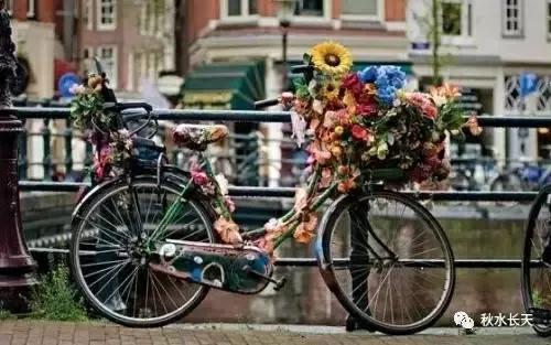 荷兰人骑的自行车 (荷兰最爱的自行车)