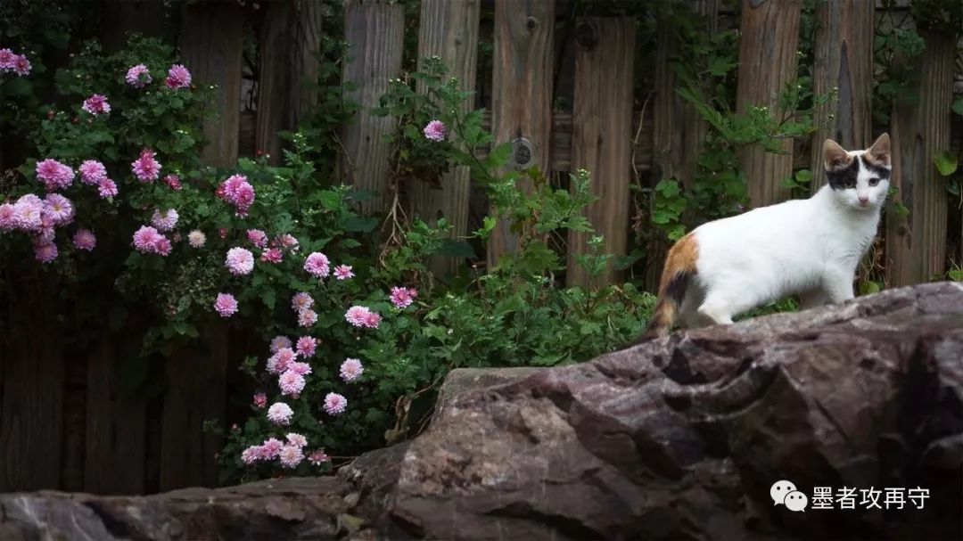 一入秋西安就美成长安,一入秋杭州就美成临安