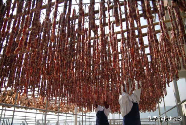 农业农村创业风口项目有哪些,适合农村的小本生意农业创业项目