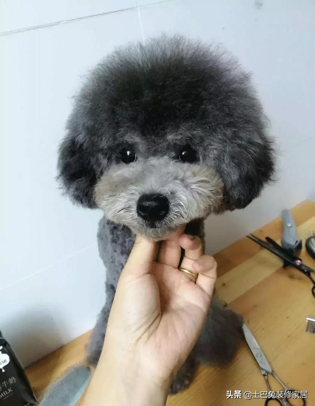 隔出一间卧室的最佳方案,隔出小卧室最佳方案