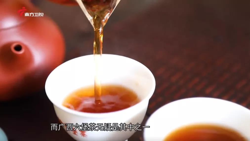 广西上品六堡茶,广西六堡茶业