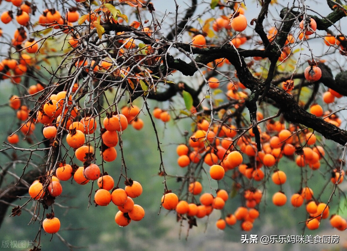 霜降防寒重点在哪里,明日霜降需要注意什么