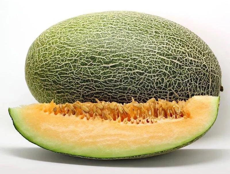 *疆新**喀什：“西域珍品”伽师瓜为何如此香甜？