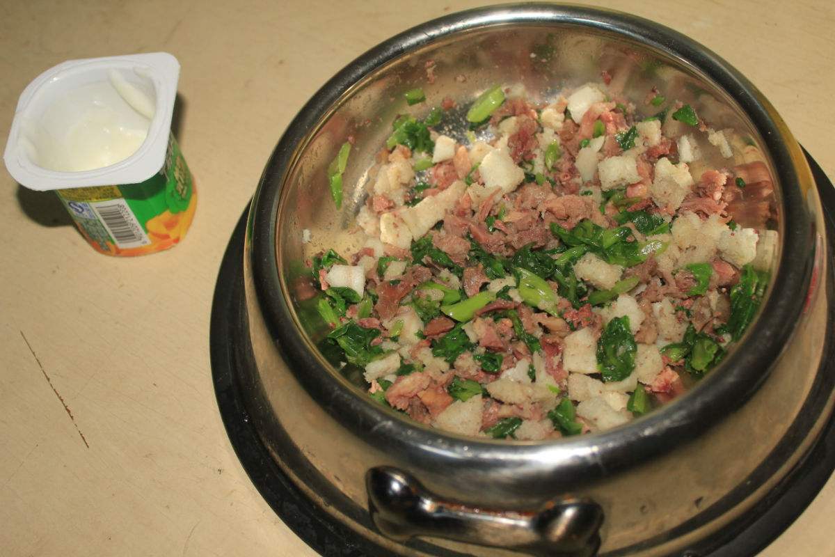 泰迪小型犬不吃狗粮怎么办,泰迪幼犬吃什么食物代替狗粮