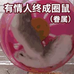 为啥鼠能排12生肖老大?先把这份拜年祝福语读懂再说