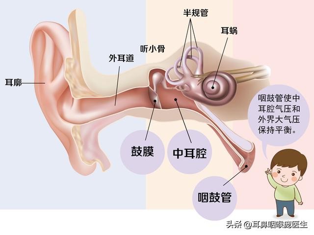 鼻炎导致耳朵闷是怎么回事,鼻炎出现耳闷是严重了吗