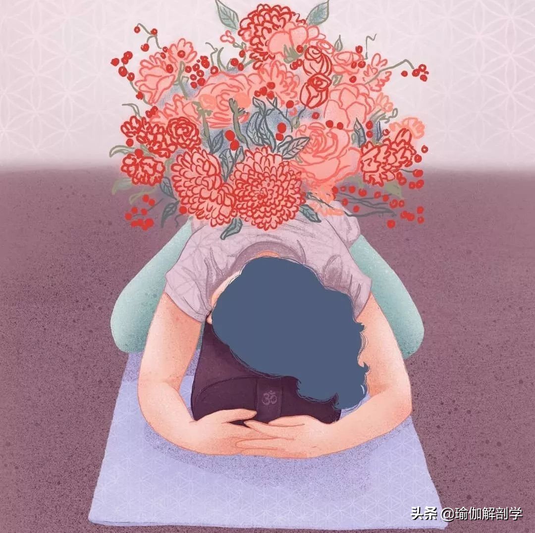 瑜伽练习的六个原则,瑜伽初学者必学的2个体式