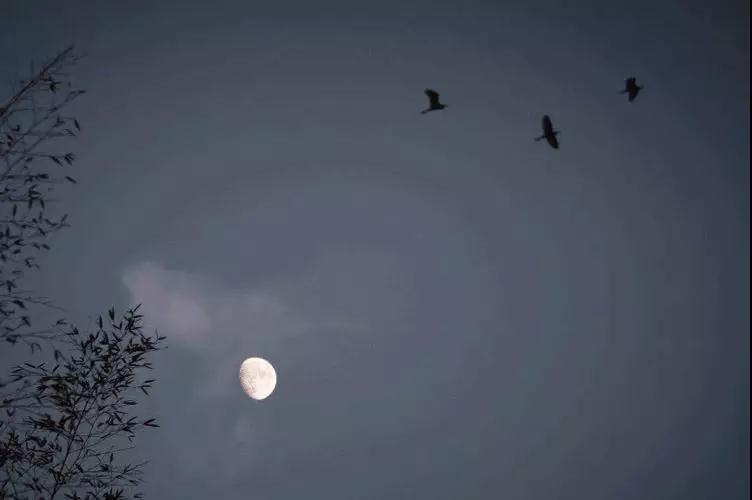 音乐是美育吗,美育是美术吗