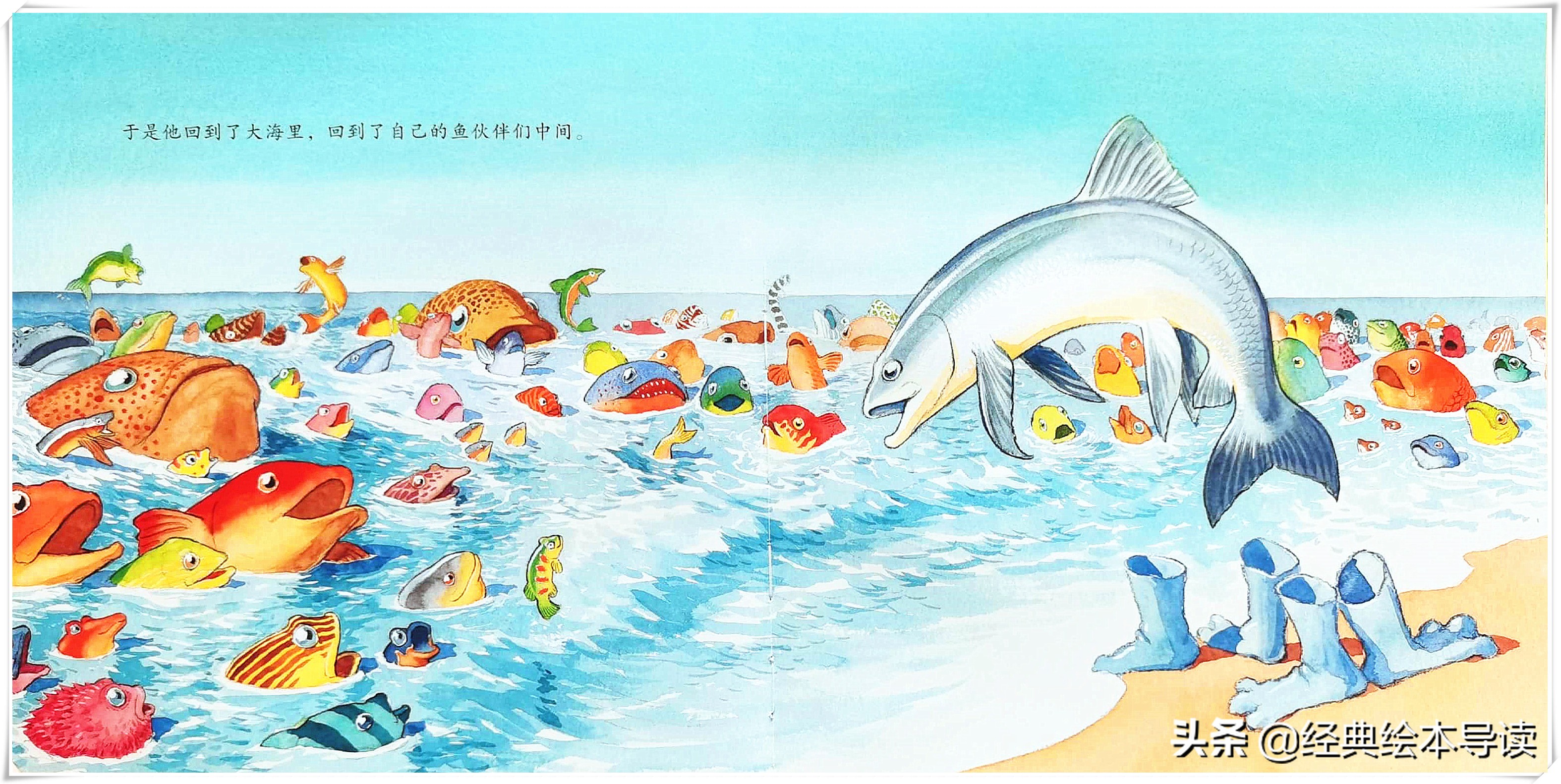 世界因此而改变——《一条聪明的鱼》导读