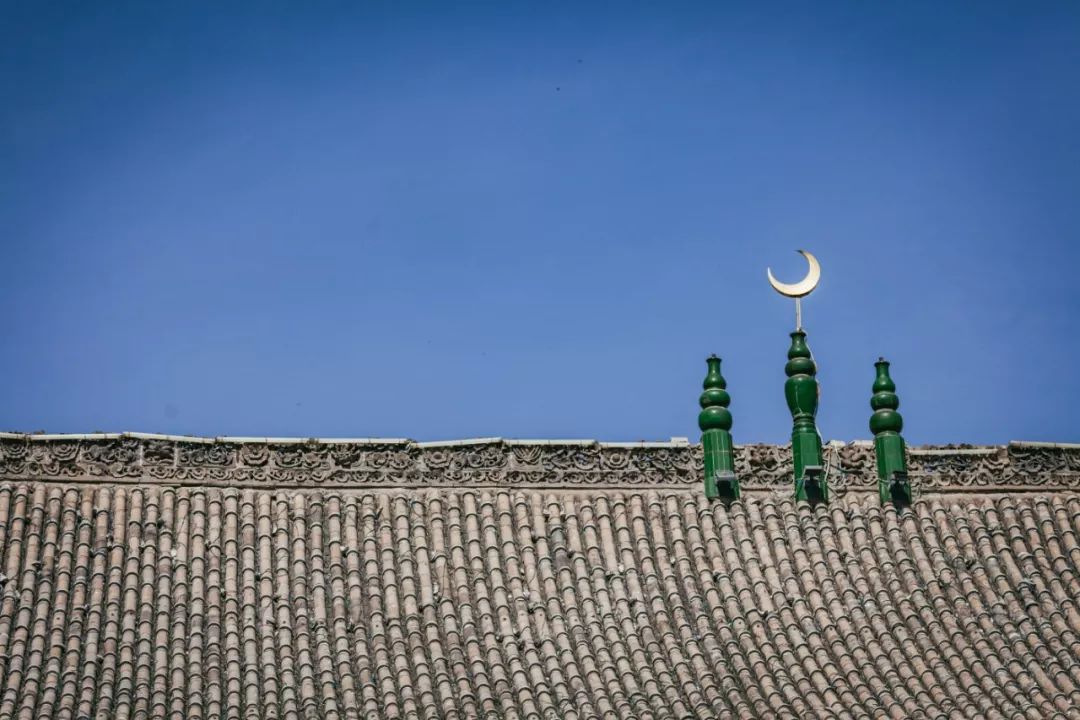 只要你面朝青海湖，八月依旧春暖花开