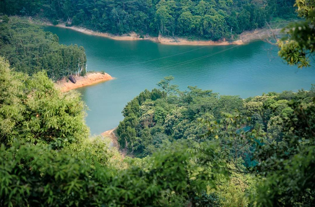 深圳值得打卡的建筑物,深圳最值得打卡的山
