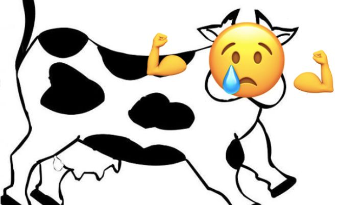 西安人看过来,被「禁」两次的免疫力之王:依旧被家长们抢购