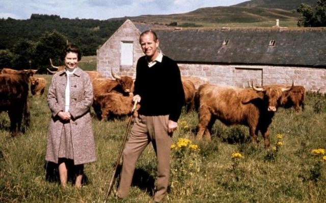 菲利普亲王60岁有魅力,52岁菲利普亲王