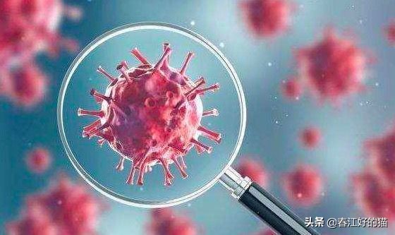 神奇!澳又一确诊痊愈!专家透露治疗过程,吃这款常用药+喝水