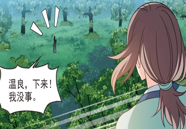 风起苍岚新人物出场小晚替天行道,风起苍岚寒影重背叛了吗