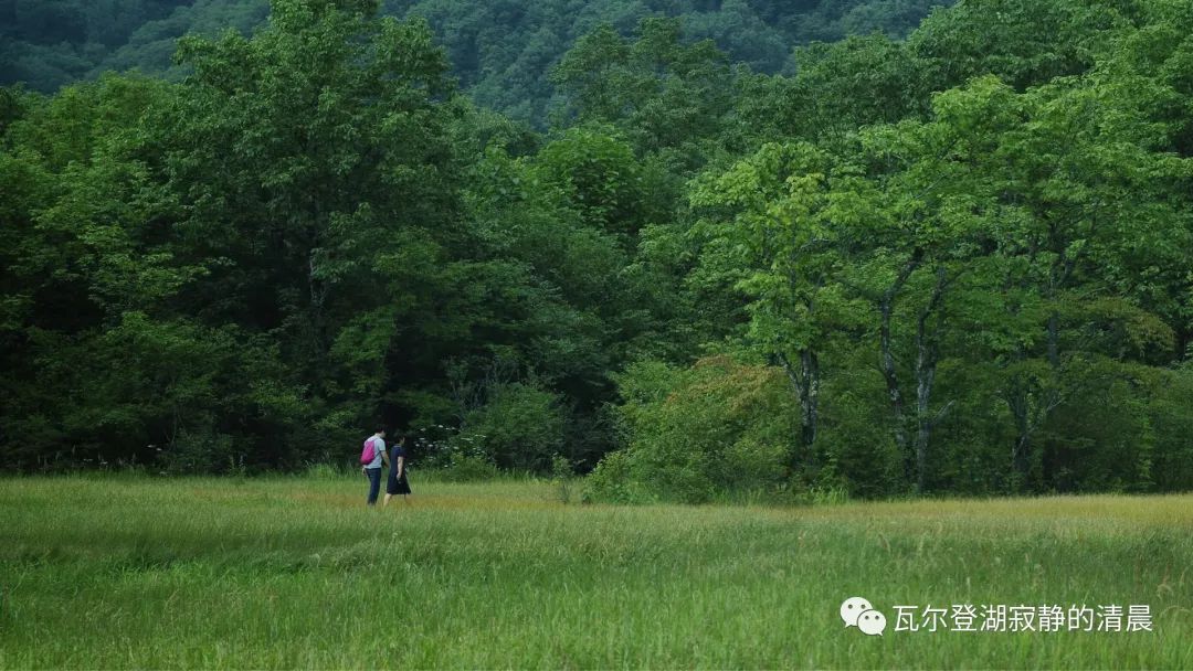 神农架大九湖这实在是太美了,神农架大九湖天空之镜
