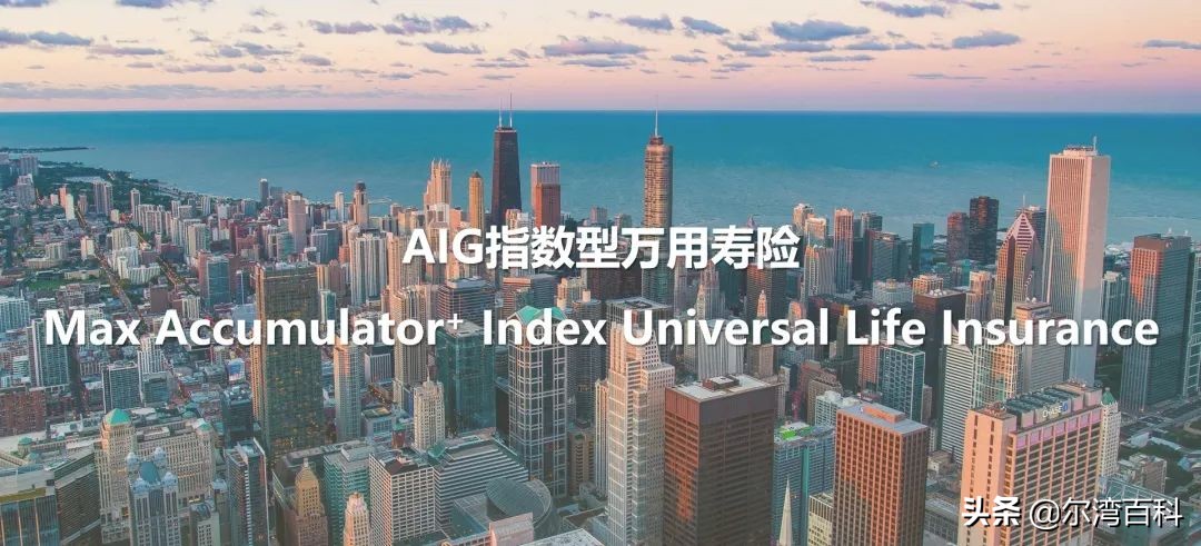 美国商业保险怎么选择险种,美国指数型万能险
