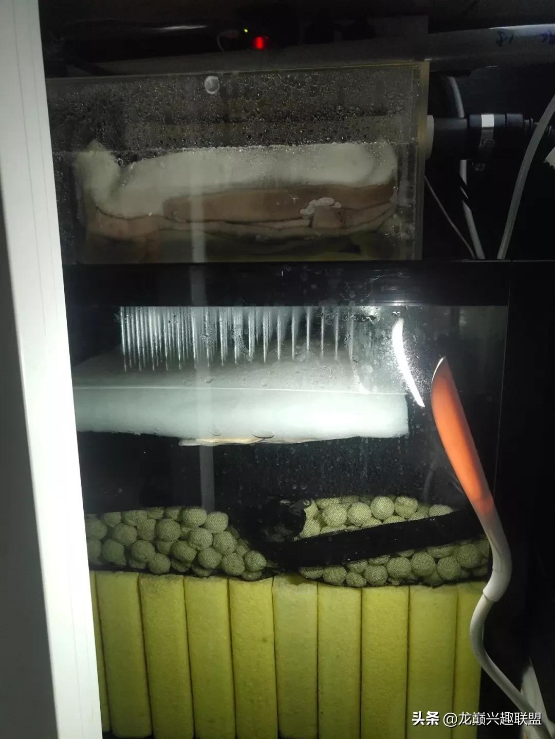 可丽爱老款侧滤鱼缸过滤系统改造,老款可丽爱底滤鱼缸安装教程