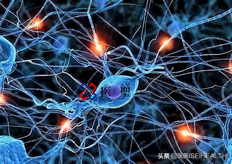 干细胞治疗膝关节炎,日本人怎样简单解决膝盖痛