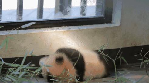 五一适合亲子游的五日游,亏欠孩子的时光用什么补