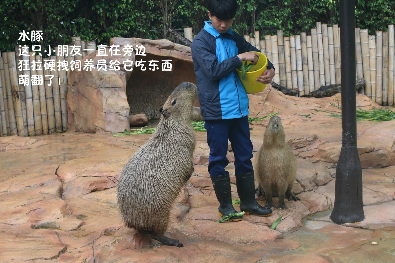 珠海长隆海洋王国攻略三天两夜,珠海长隆海洋王国必玩十大项目