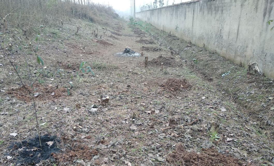 在农村用土地怎么创业,中年人在农村如何创业