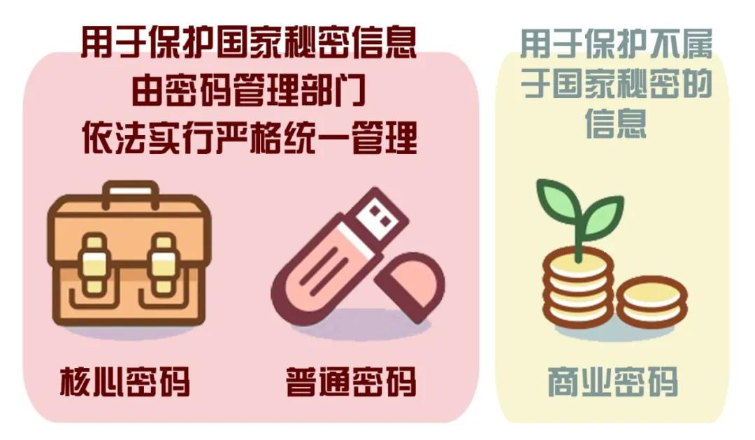 一串数字怎么破解,破译一串数字