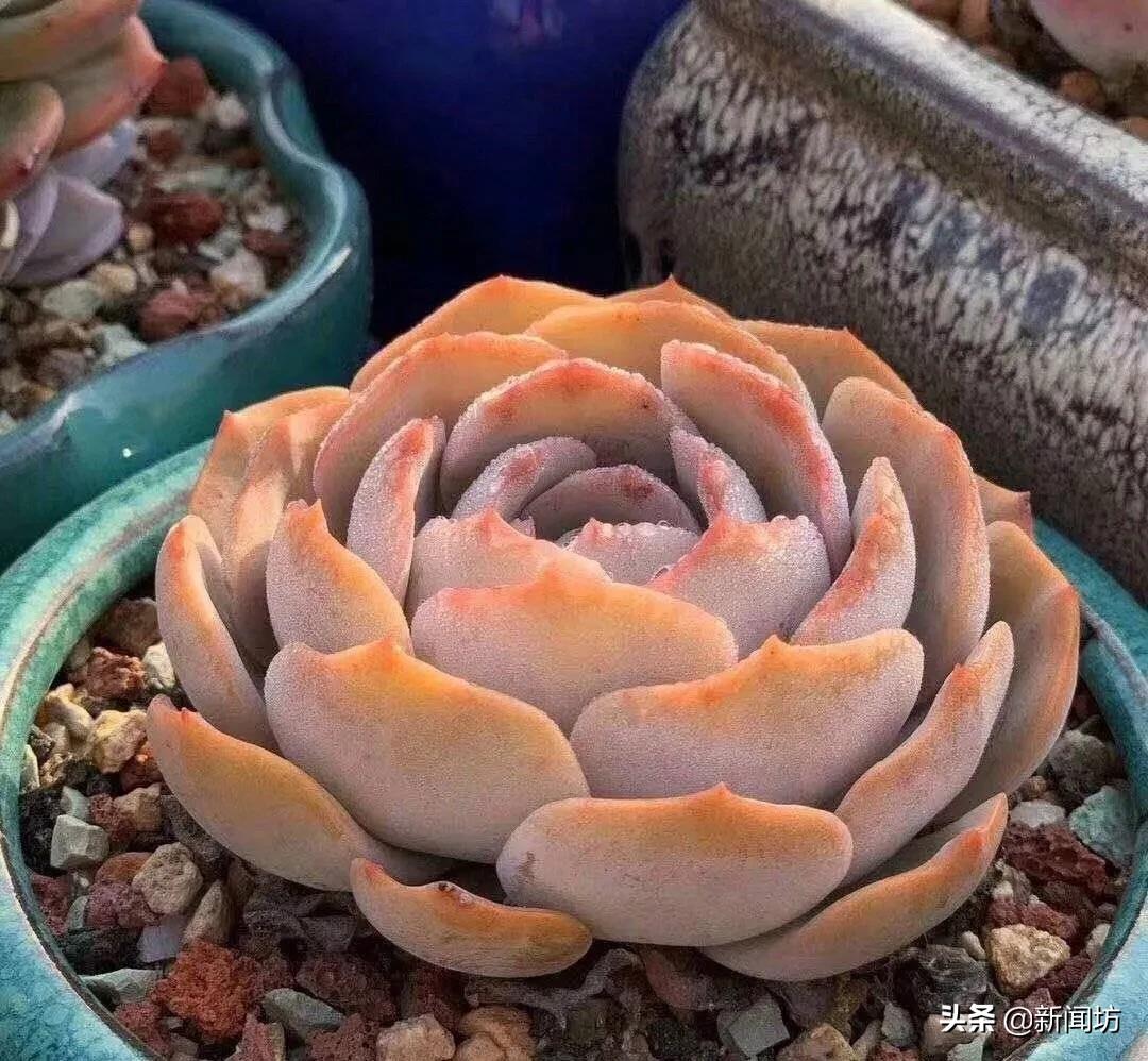 恒大100亿足球场,耗资120亿的恒大足球场