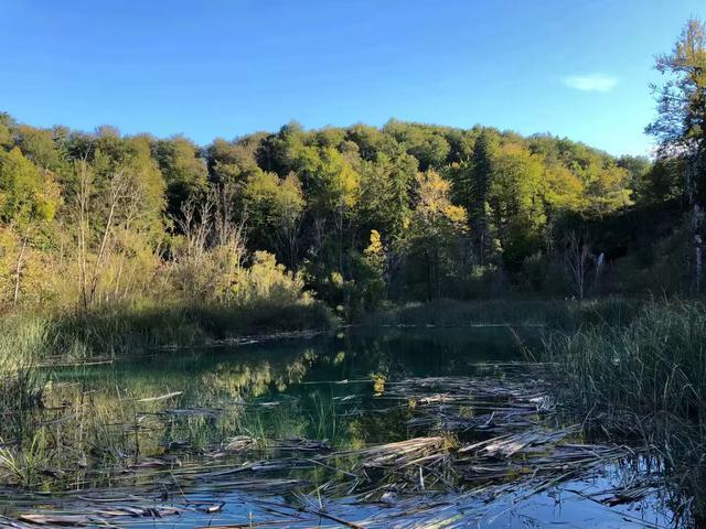 巴尔干半岛和阿尔巴尼亚,伯罗奔尼撒半岛和巴尔干半岛