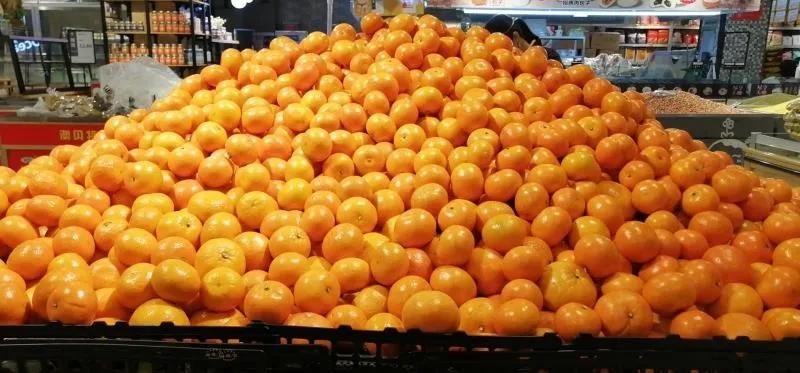 【战疫行动】黄州人,你下单代购的蔬果都是从哪里、怎么来的?——保供“战场”系列报道(四)