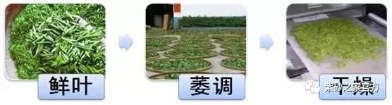 几块钱的茶怎么喝出几千块的效果,为什么这么便宜的茶泡起来很浓