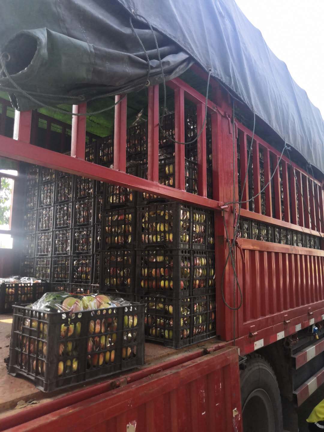 桐柏电商农产品,桐柏县红桃电商