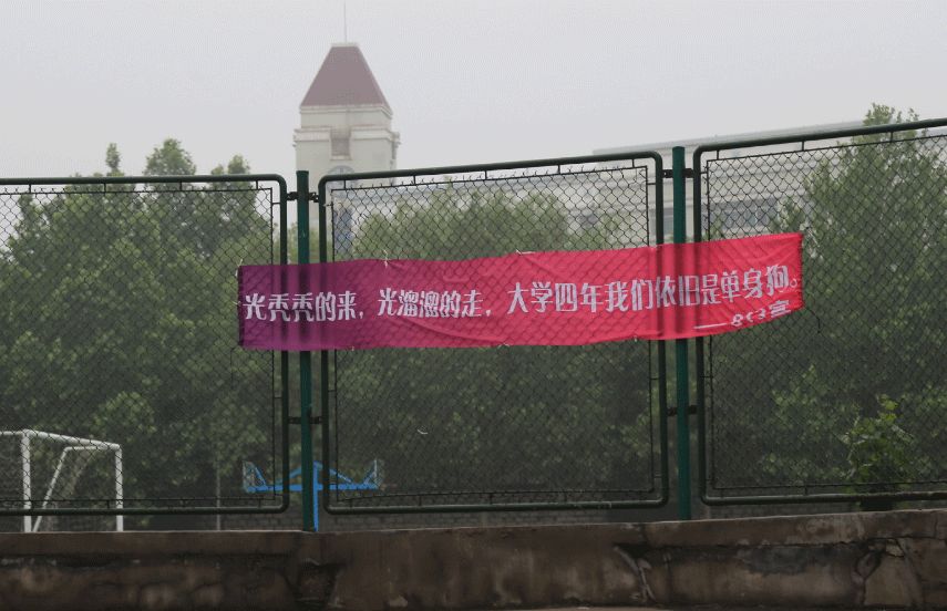 学校毕业的横幅,高校走心毕业季标语惹哭网友