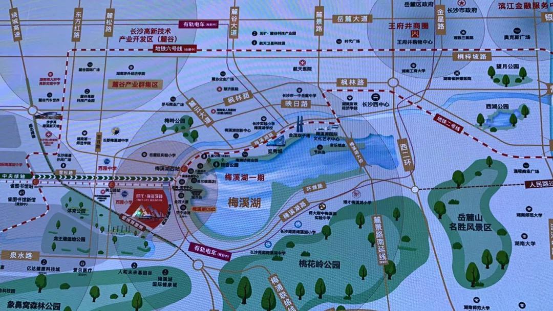 长沙房价监测,长沙房价分析图