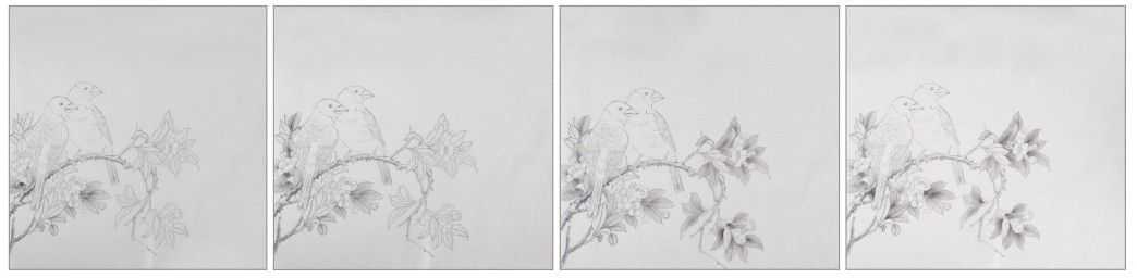 蜡嘴雀工笔画,蜡嘴鸟画画教程