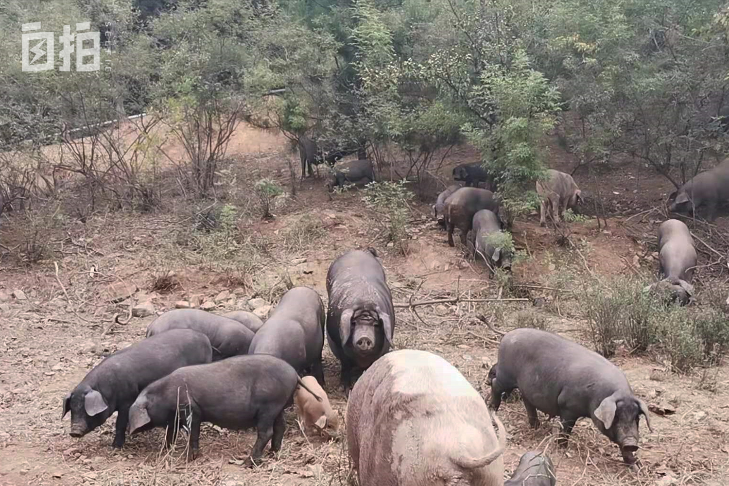 我当过公务员，搞建筑赚了三千万，短短几年赔光，奔驰宝马全卖了