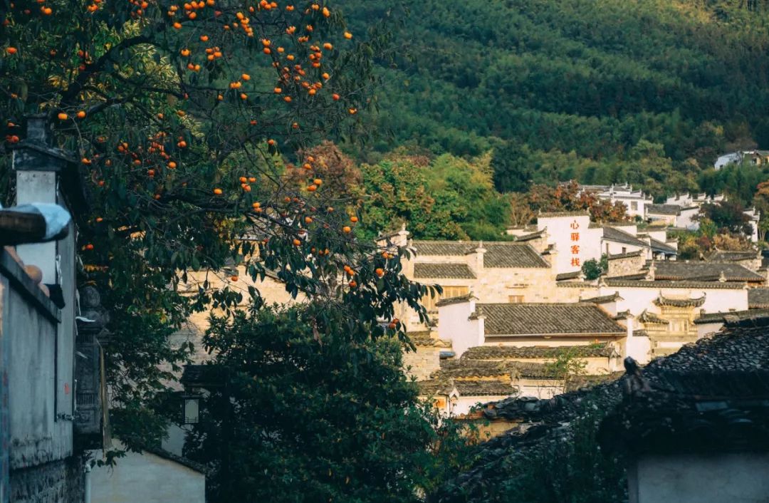 徽州赏秋三日游自驾游攻略,小众徽州赏秋村落