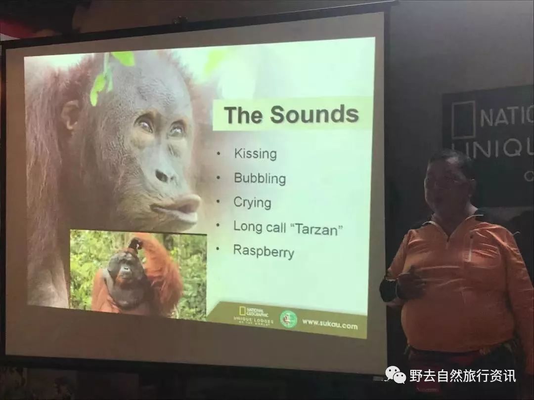 待疫情平息,和孩子一起探索“失落的世界”婆罗洲原始雨林