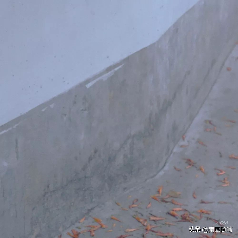 世界尽头与冷酷仙境书籍,书籍的力量名言名句