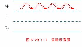 中医把脉入门必背口诀翻译,把脉入门必背口诀粤语版
