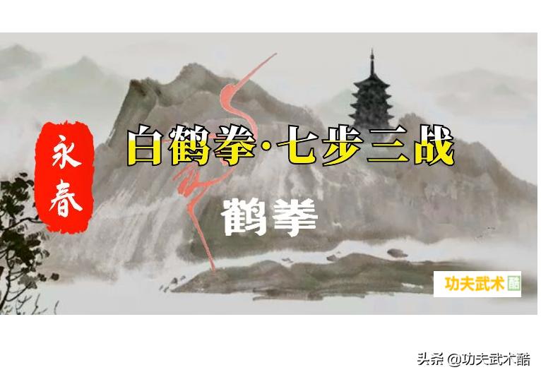 永春民间白鹤拳实战技法,咏春白鹤拳七步三战教学视频