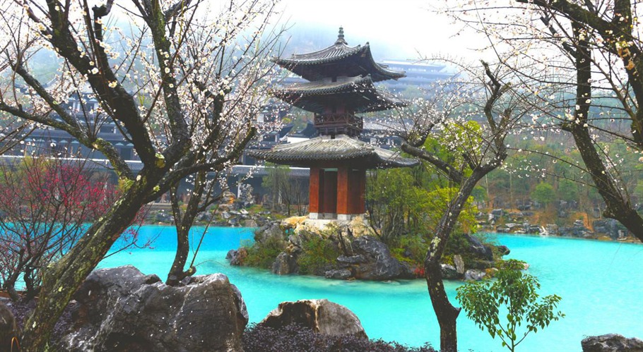 根博园根雕,根宫佛国根雕视频