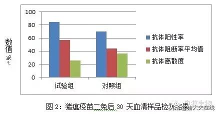 猪瘟疫苗接种不良反应,猪瘟疫苗免疫失败怎么挽救