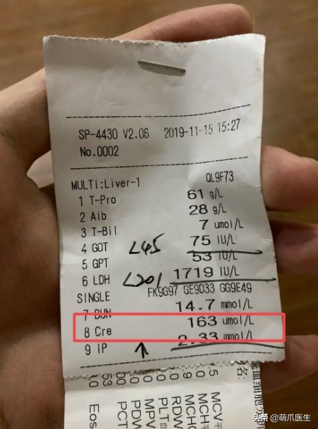 go猫粮吃了拉黄水,go猫粮吃了会黑下巴吗