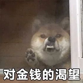 假购物链接诈骗,只接单不发货真的假的