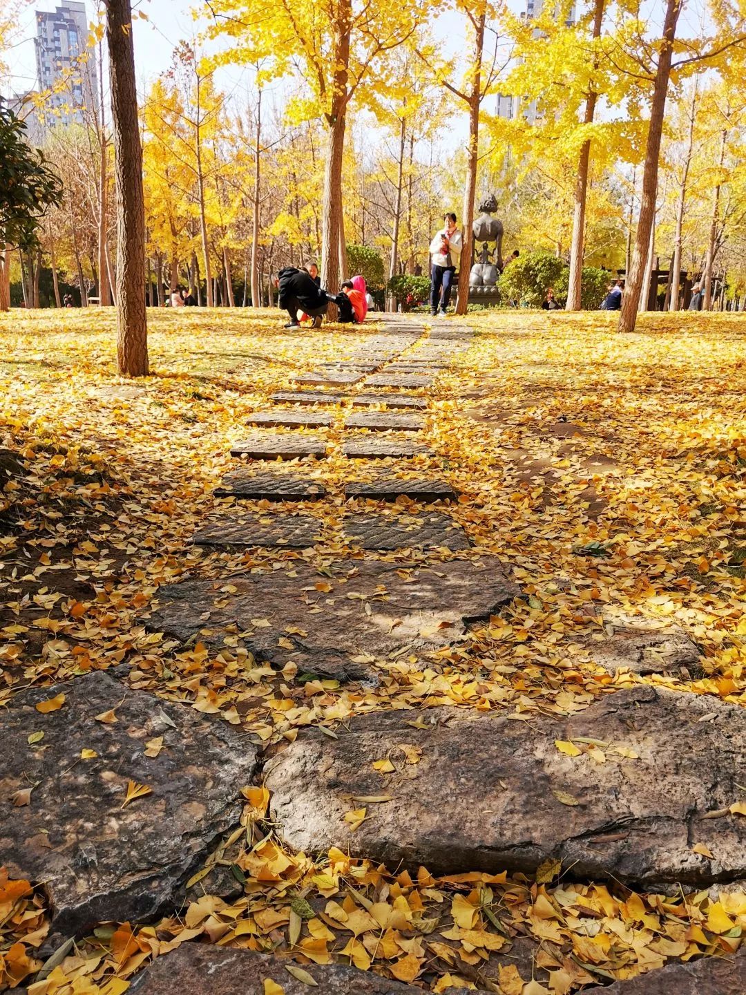 济南森林公园雪景,济南最美森林公园