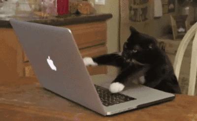 “pigout”千万别翻译成“猪出来了”，要被笑死了