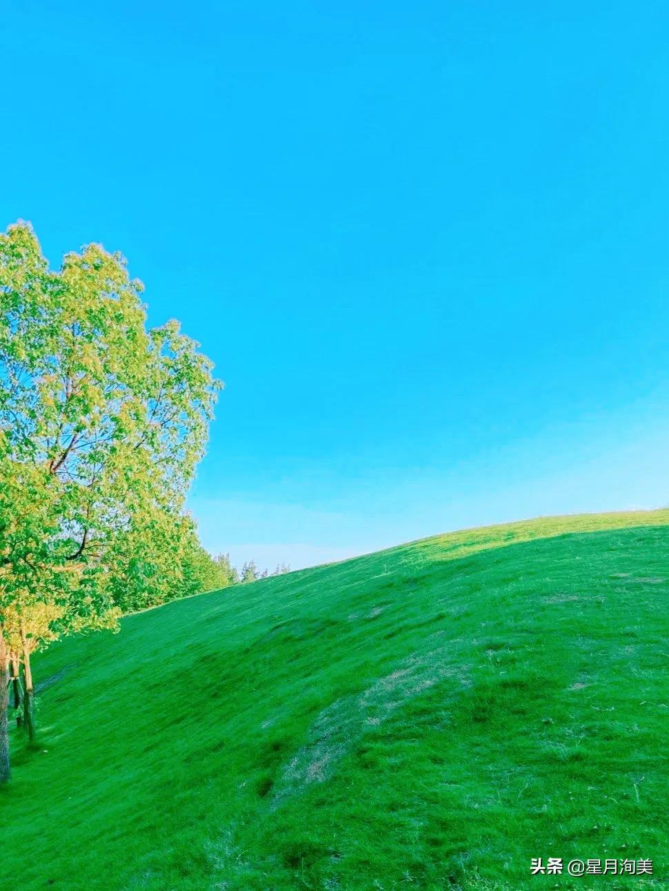 成都小众打卡地点推荐,成都小众但值得去的地方