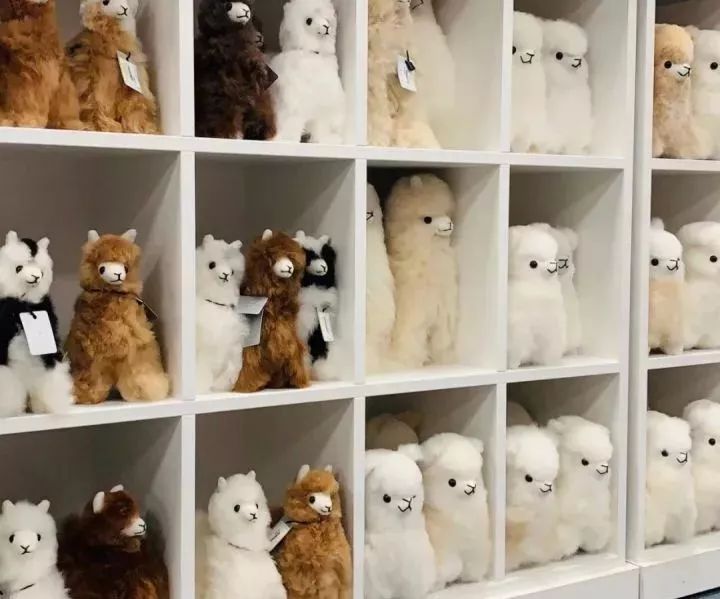 樟宜机场伴手礼攻略,厦门机场卖的伴手礼